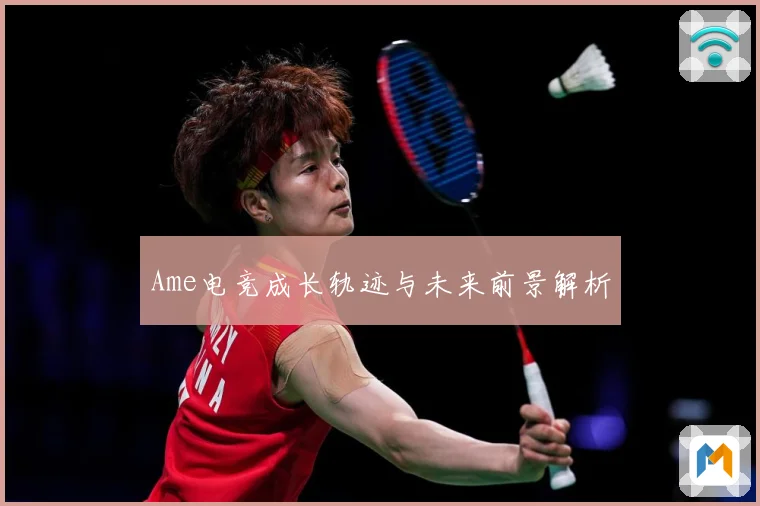 Ame电竞成长轨迹与未来前景解析