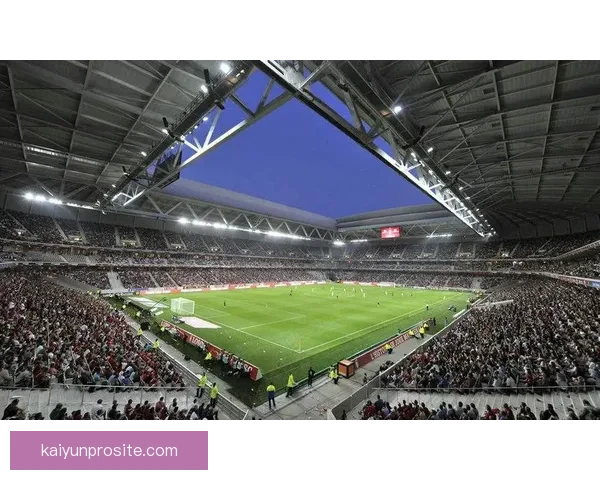 开云体育入口全新体验指南助你畅享运动与赛事精彩内容